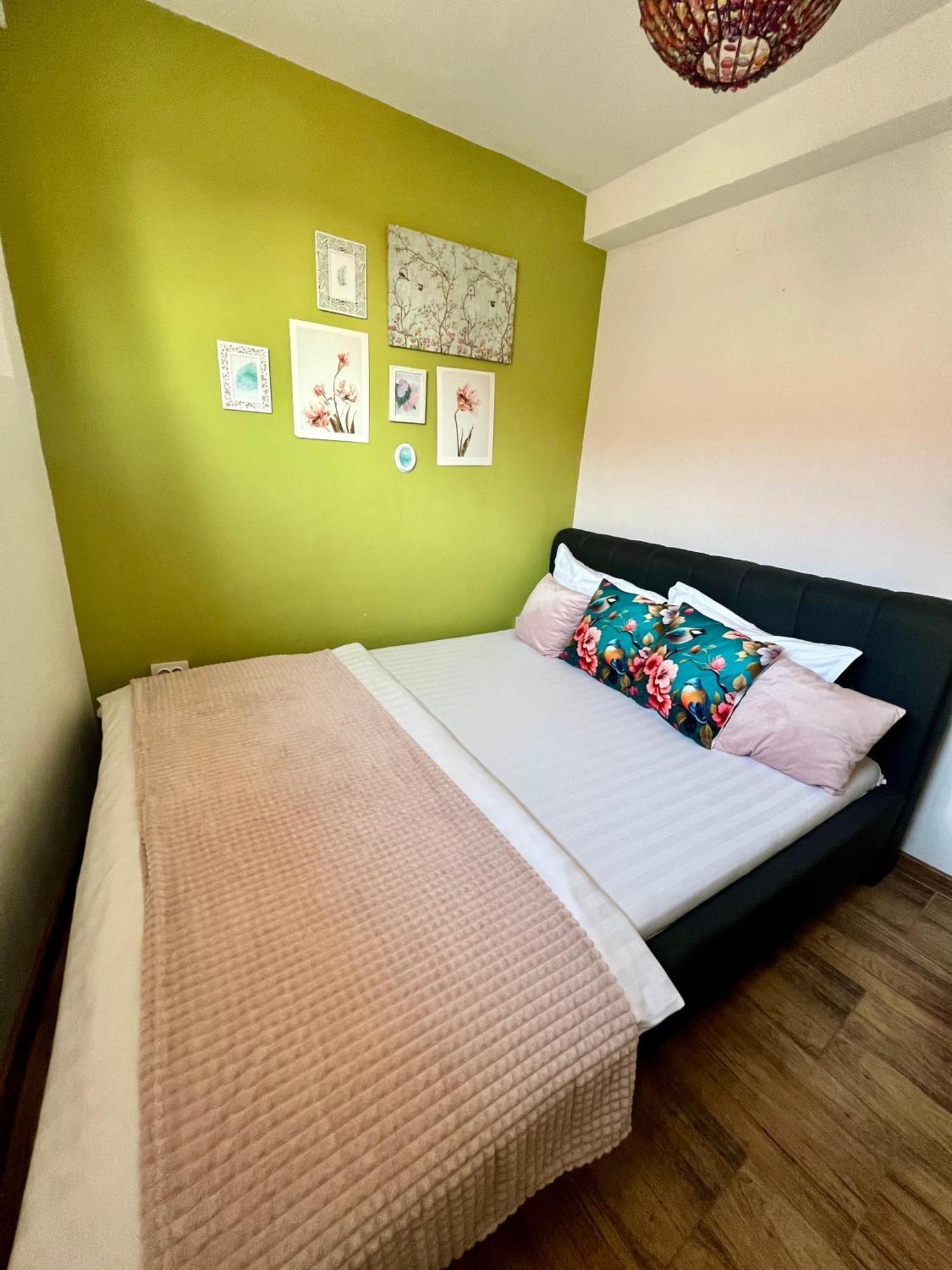 Dominic Apartment Unirii Square Temesvár Kültér fotó